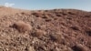 Tales From The New Silk Road
