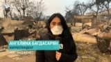 Пожары в Лос-Анджелесе: апокалипсис по-голливудски